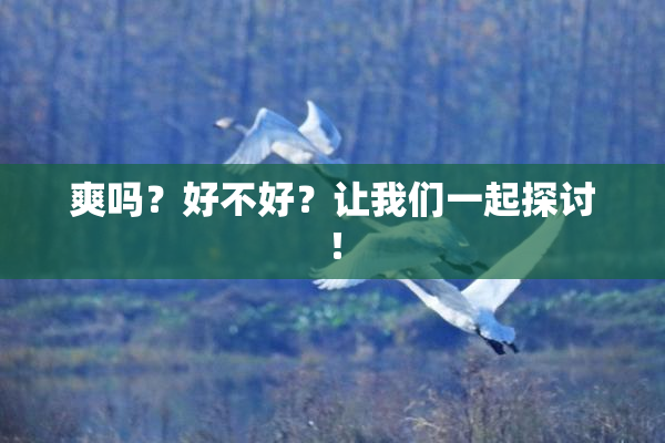 爽吗？好不好？让我们一起探讨！