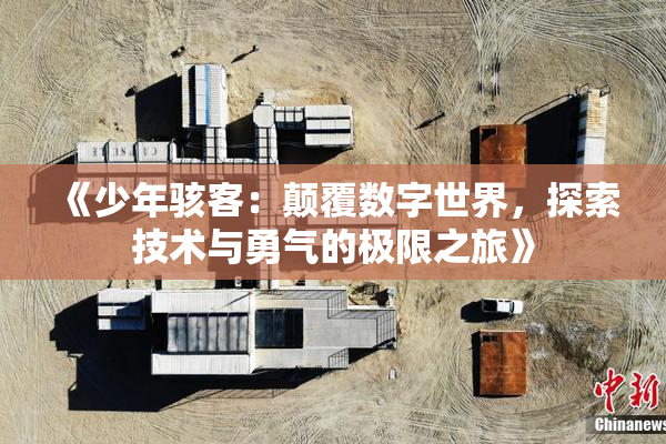 《少年骇客：颠覆数字世界，探索技术与勇气的极限之旅》