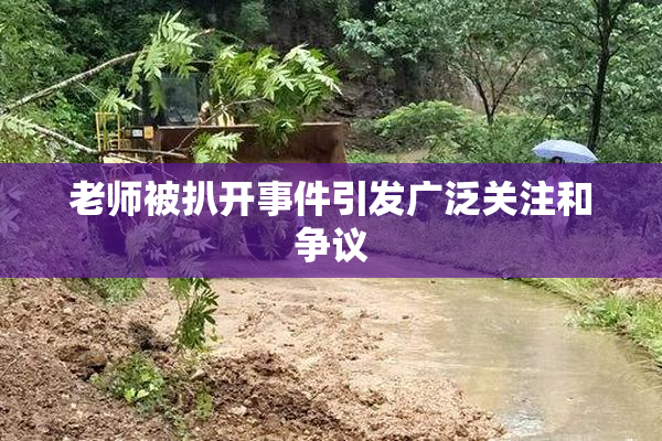 老师被扒开事件引发广泛关注和争议