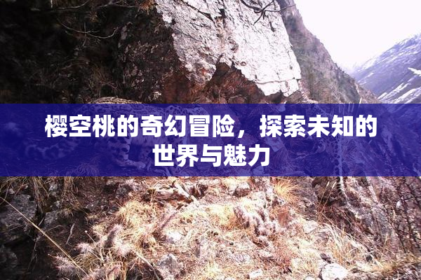 樱空桃的奇幻冒险，探索未知的世界与魅力