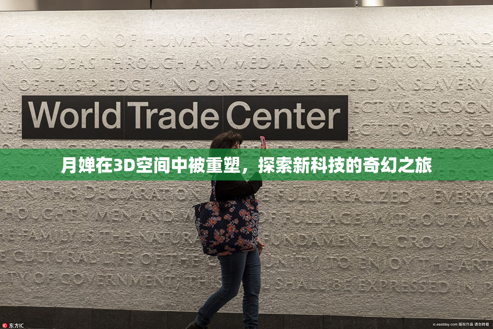 月婵在3D空间中被重塑，探索新科技的奇幻之旅