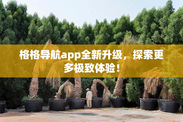 格格导航app全新升级，探索更多极致体验！