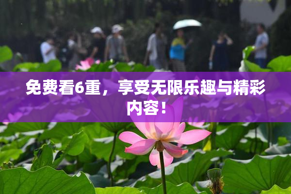 免费看6重，享受无限乐趣与精彩内容！