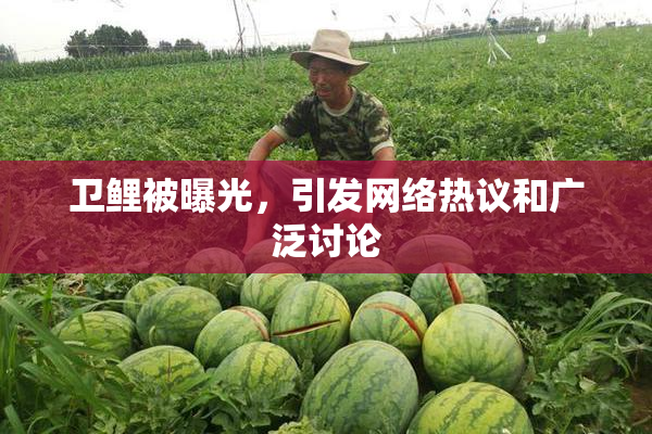 卫鲤被曝光，引发网络热议和广泛讨论