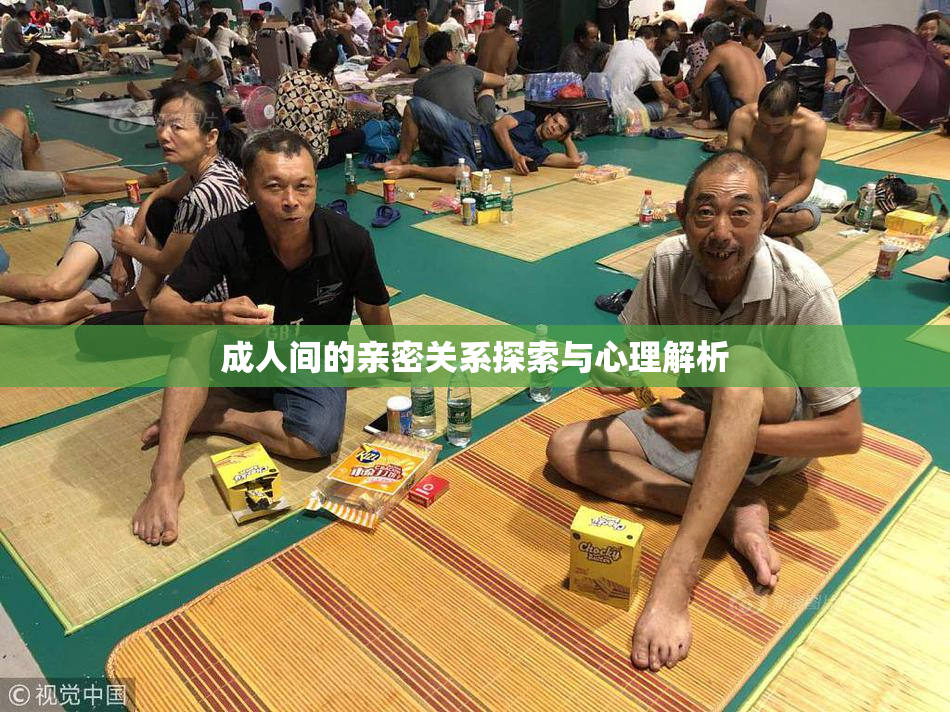 成人间的亲密关系探索与心理解析