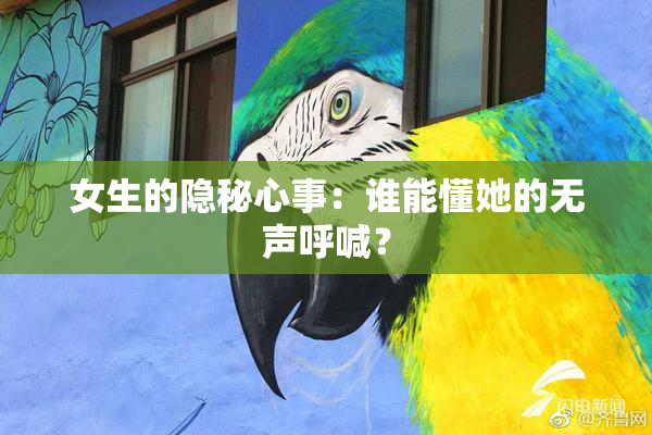 女生的隐秘心事：谁能懂她的无声呼喊？