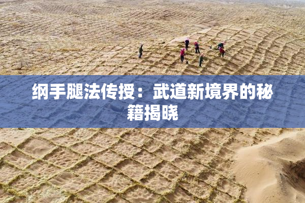 纲手腿法传授：武道新境界的秘籍揭晓