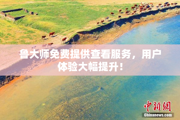 鲁大师免费提供查看服务，用户体验大幅提升！