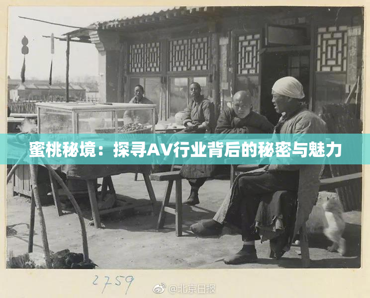 蜜桃秘境：探寻AV行业背后的秘密与魅力