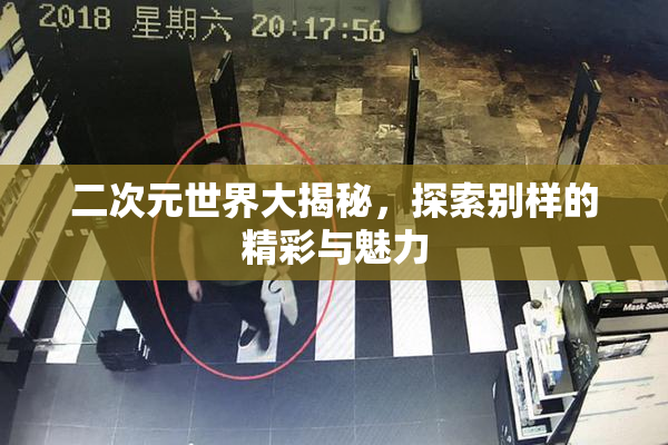 二次元世界大揭秘，探索别样的精彩与魅力