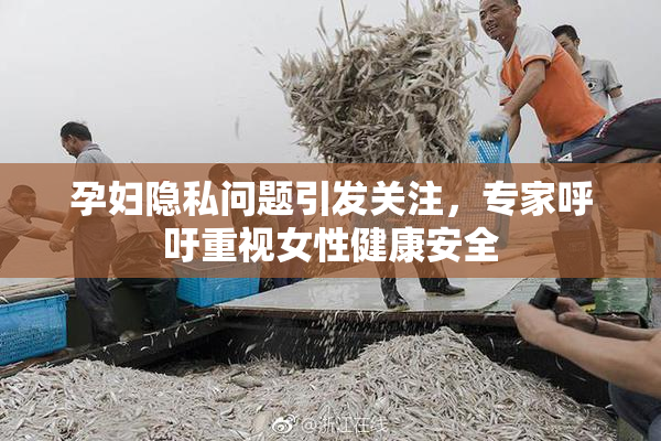 孕妇隐私问题引发关注，专家呼吁重视女性健康安全