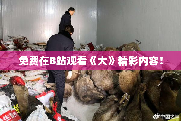 免费在B站观看《大》精彩内容！