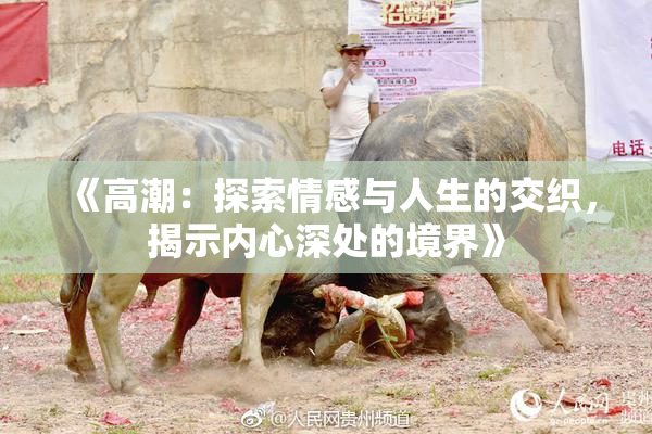 《高潮：探索情感与人生的交织，揭示内心深处的境界》