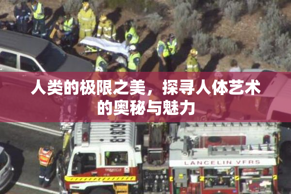 人类的极限之美，探寻人体艺术的奥秘与魅力