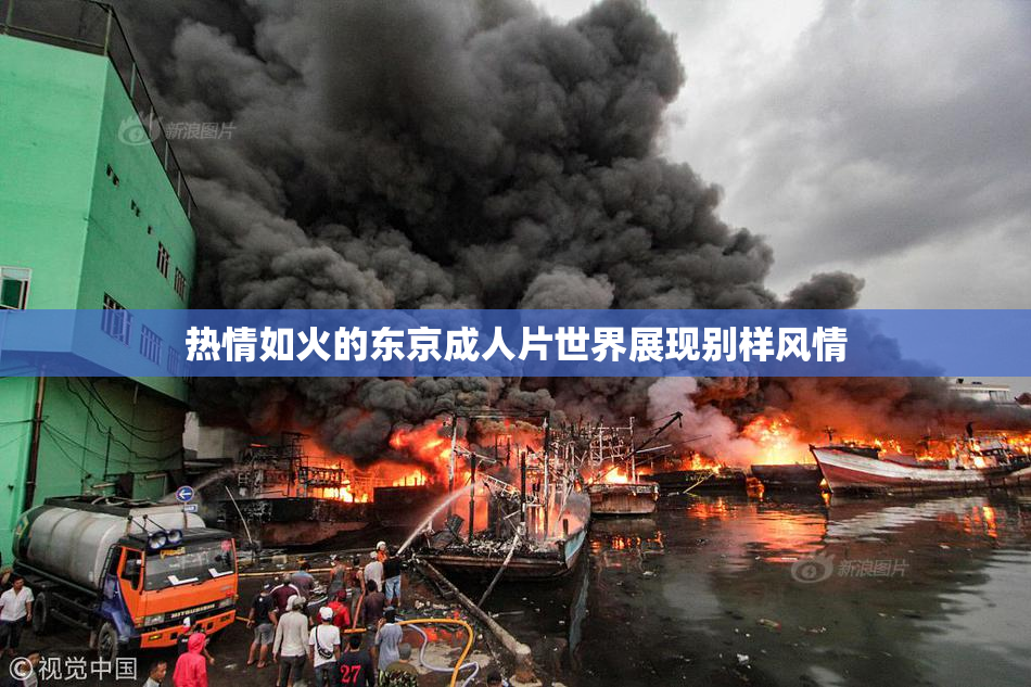 热情如火的东京成人片世界展现别样风情