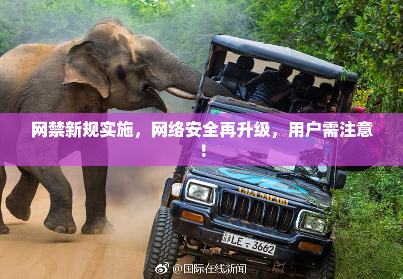 网禁新规实施，网络安全再升级，用户需注意！