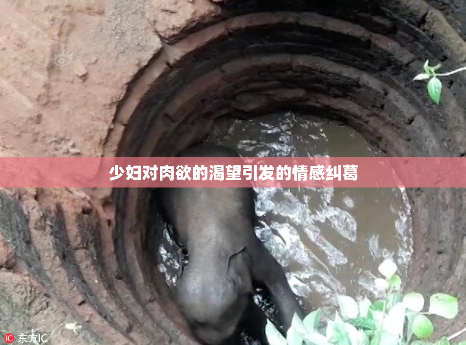 少妇对肉欲的渴望引发的情感纠葛