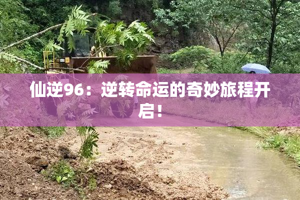 仙逆96：逆转命运的奇妙旅程开启！