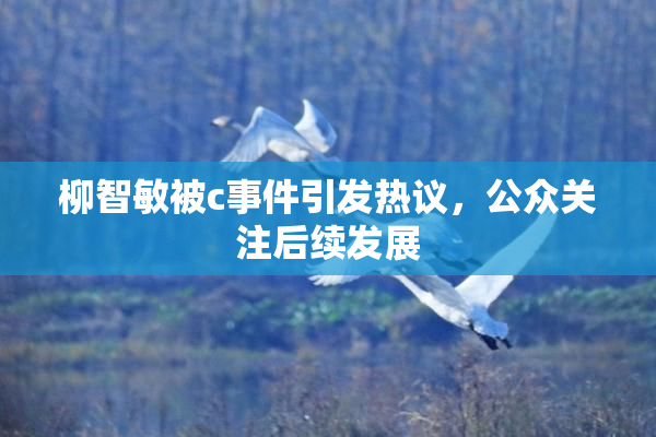 柳智敏被c事件引发热议，公众关注后续发展