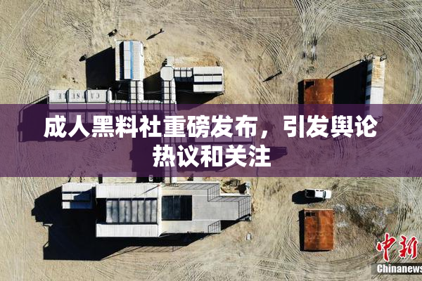 成人黑料社重磅发布，引发舆论热议和关注