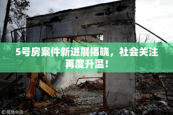 5号房案件新进展揭晓，社会关注再度升温！