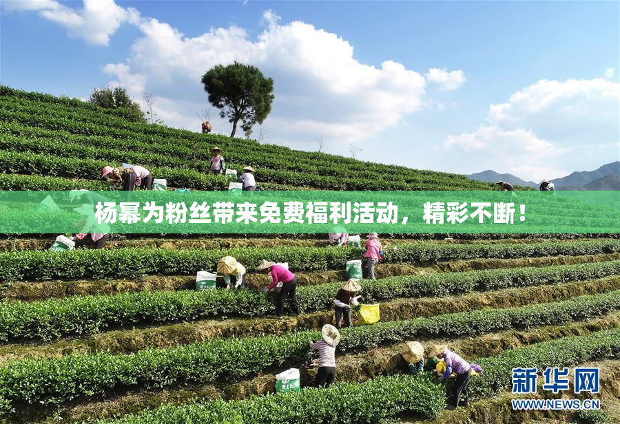 杨幂为粉丝带来免费福利活动，精彩不断！