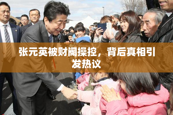 张元英被财阀操控，背后真相引发热议