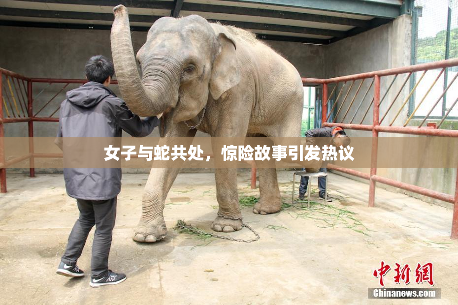 女子与蛇共处，惊险故事引发热议