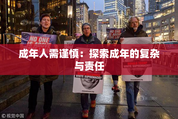 成年人需谨慎：探索成年的复杂与责任