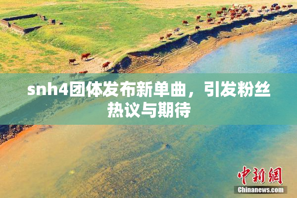 snh4团体发布新单曲，引发粉丝热议与期待