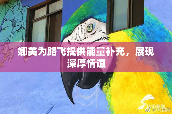 娜美为路飞提供能量补充，展现深厚情谊