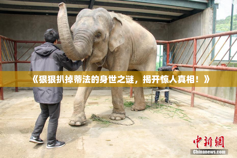 《狠狠扒掉蒂法的身世之谜，揭开惊人真相！》