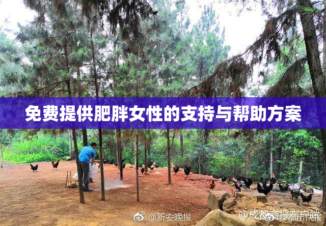 免费提供肥胖女性的支持与帮助方案