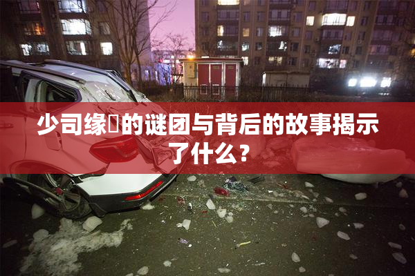 少司缘婬的谜团与背后的故事揭示了什么？