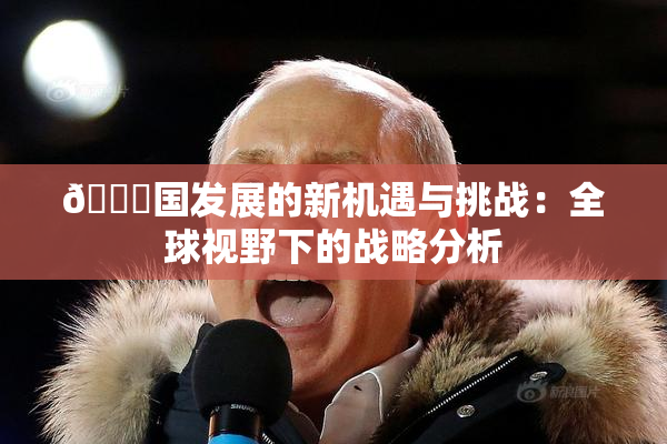 🔞国发展的新机遇与挑战：全球视野下的战略分析