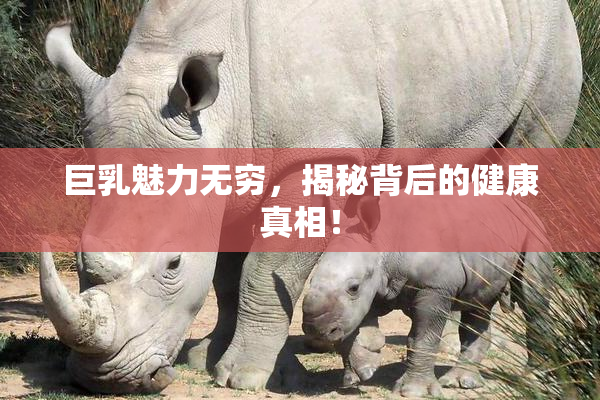 巨乳魅力无穷，揭秘背后的健康真相！