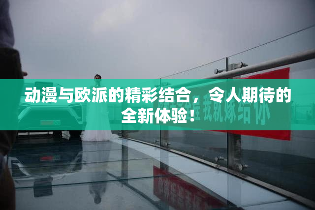 动漫与欧派的精彩结合，令人期待的全新体验！
