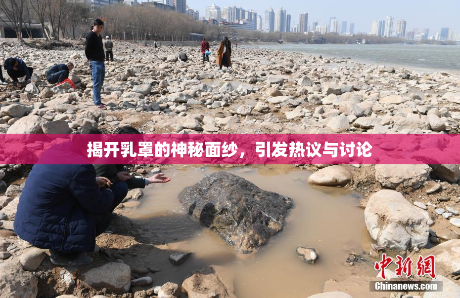 揭开乳罩的神秘面纱，引发热议与讨论
