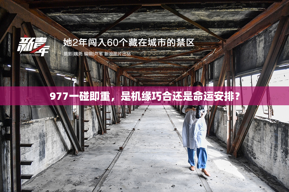 977一碰即重，是机缘巧合还是命运安排？