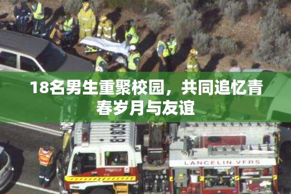 18名男生重聚校园，共同追忆青春岁月与友谊