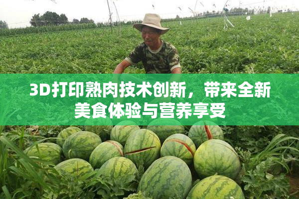 3D打印熟肉技术创新，带来全新美食体验与营养享受