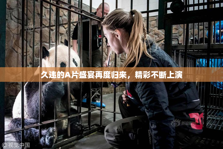 久违的A片盛宴再度归来，精彩不断上演