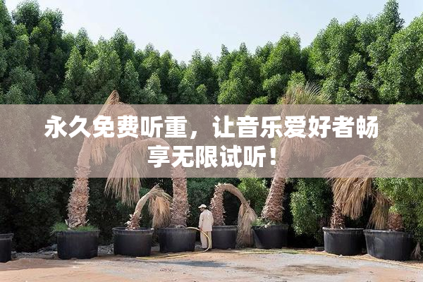 永久免费听重，让音乐爱好者畅享无限试听！
