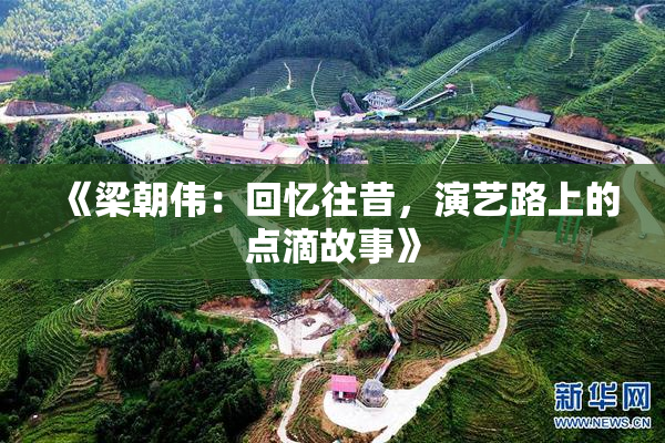 《梁朝伟：回忆往昔，演艺路上的点滴故事》