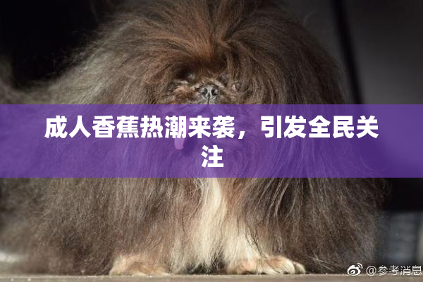成人香蕉热潮来袭，引发全民关注