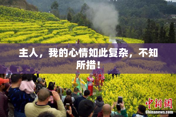 主人，我的心情如此复杂，不知所措！