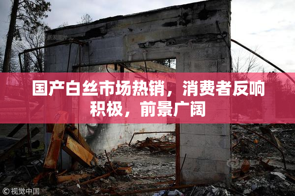 国产白丝市场热销，消费者反响积极，前景广阔