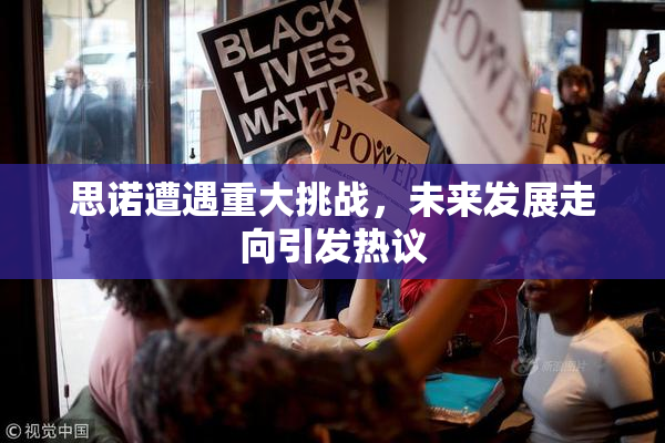 思诺遭遇重大挑战，未来发展走向引发热议