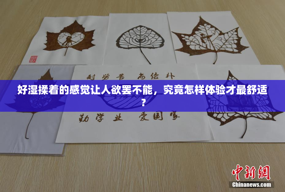 好湿揉着的感觉让人欲罢不能，究竟怎样体验才最舒适？