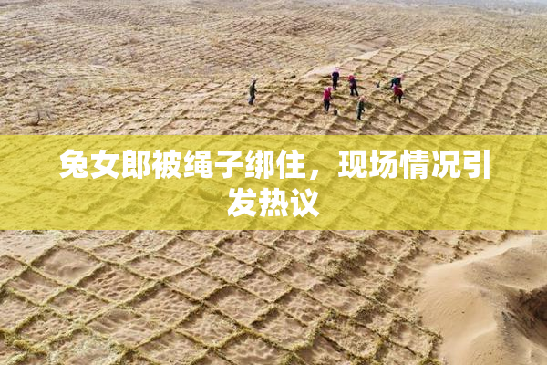 兔女郎被绳子绑住，现场情况引发热议